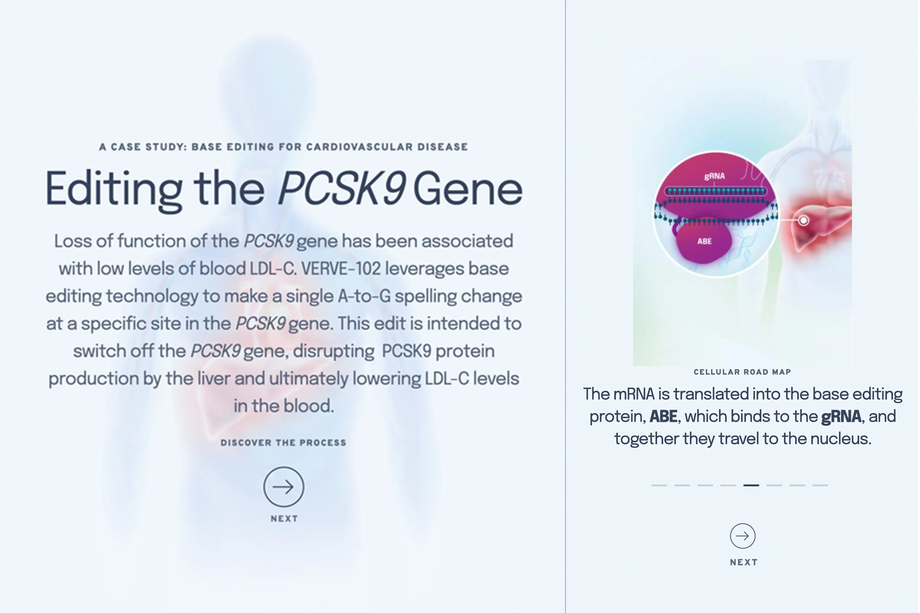 The animated video slider component, used to display the gene editing process. For desktop, video animations are triggered on click where as for mobile, the slider displays images.
